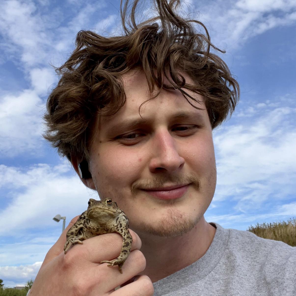Billede af Magnus